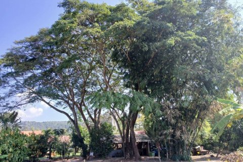 Villa à Mae Taeng, Thaïlande 3 chambres № 141007 - photo 29