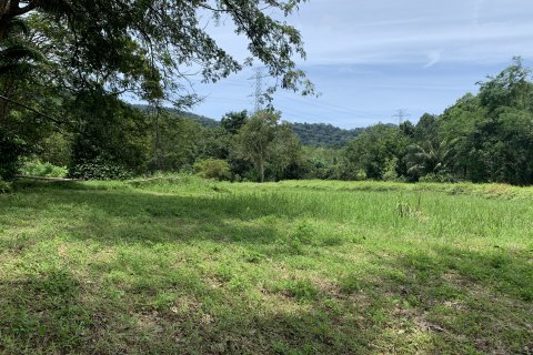 Terrain à Phuket, Thaïlande 11200 m2 № 141006 - photo 4