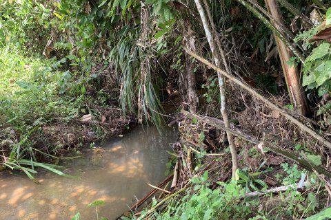 Terrain à Phuket, Thaïlande 11200 m2 № 141006 - photo 8