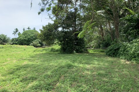 Terrain à Phuket, Thaïlande 11200 m2 № 141006 - photo 3