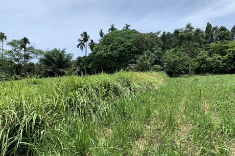 Terrain à Phuket, Thaïlande 11200 m2 № 141006 - photo 5