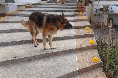 Дом в Ройете, Таиланд с 3 спальнями  № 141005 - фото 8