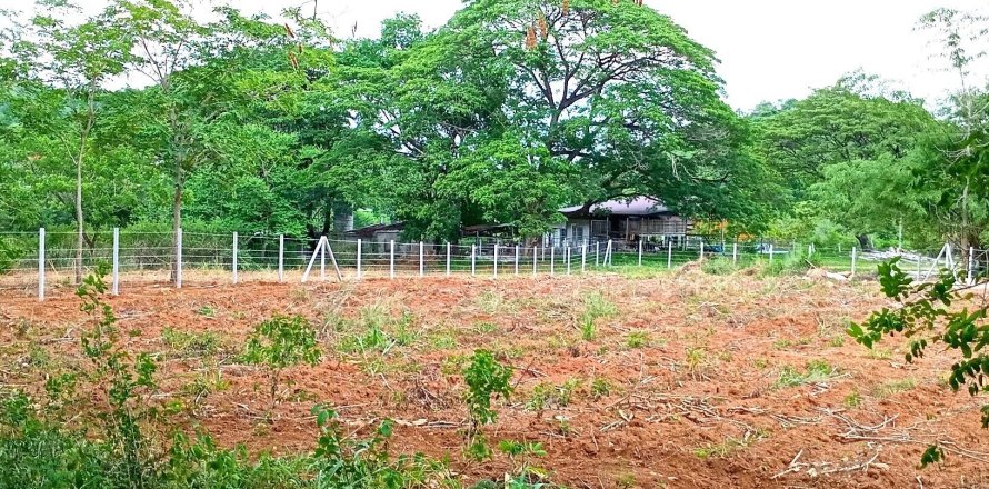 Terrain à Saraburi, Thaïlande 2944 m2 № 163113