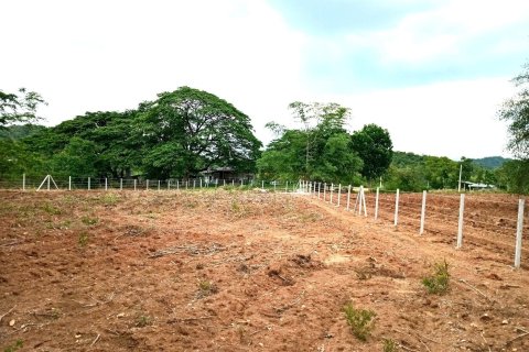 Terrain à Saraburi, Thaïlande 2944 m2 № 163113 - photo 4
