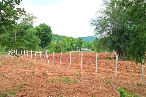 Terrain à Saraburi, Thaïlande 2944 m2 № 163113 - photo 3