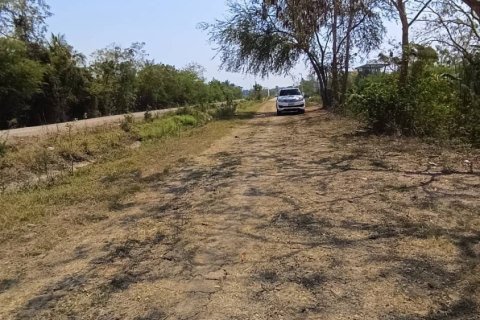 Land in Nakhon Ratchasima, Thailand 11200 sq.m. № 163112 - photo 3