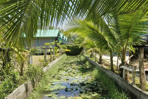 Hotel in Ko Samui, Thailand № 164757 - photo 15