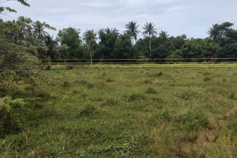 Land in Phang Nga, Thailand 17600 sq.m. № 137091 - photo 16