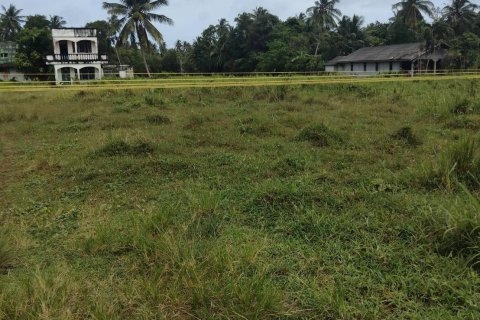 Land in Phang Nga, Thailand 17600 sq.m. № 137091 - photo 15