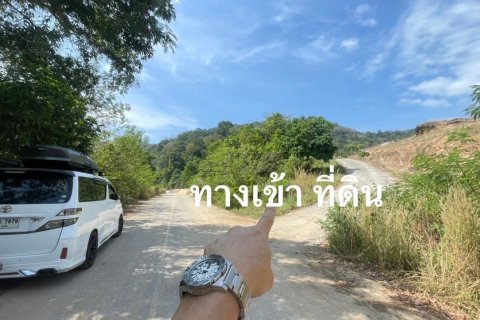 Земельный участок в Пхукете, Таиланд 8916.8м2 № 157156 - фото 6