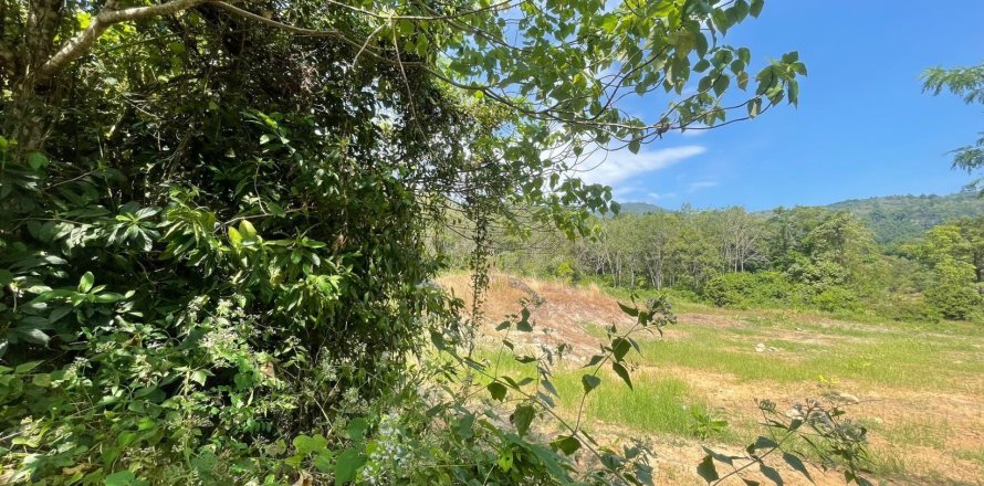 Земельный участок в Пхукете, Таиланд 8916.8м2 № 157156