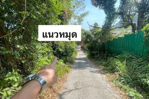 Земельный участок в Пхукете, Таиланд 8916.8м2 № 157156 - фото 7