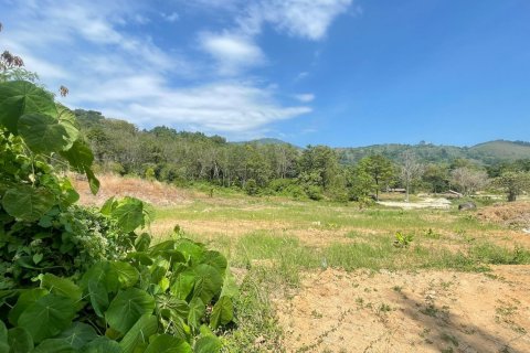 Земельный участок в Пхукете, Таиланд 8916.8м2 № 157156 - фото 3