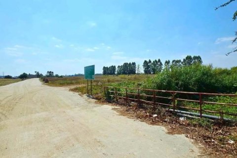 Land in Rayong, Thailand 28800 sq.m. № 159285 - photo 4
