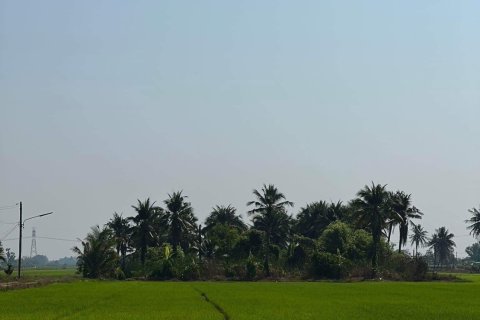 Terrain à Pathum Thani, Thaïlande 94400 m2 № 147970 - photo 2