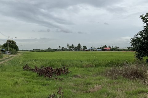 Terrain à Pathum Thani, Thaïlande 94400 m2 № 147970 - photo 1