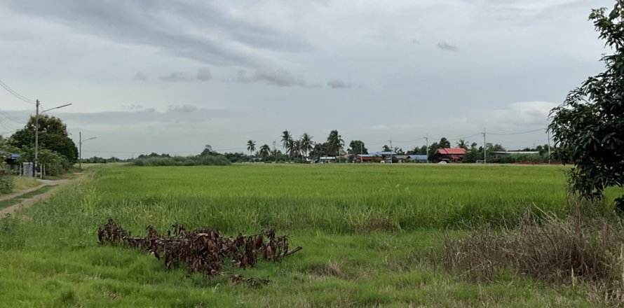 Terrain à Pathum Thani, Thaïlande 94400 m2 № 147970