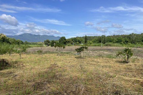 Terrain à Mae Rim, Thaïlande 3880 m2 № 138503 - photo 6