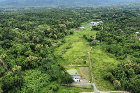 Terrain à Mae Rim, Thaïlande 3880 m2 № 138503 - photo 3