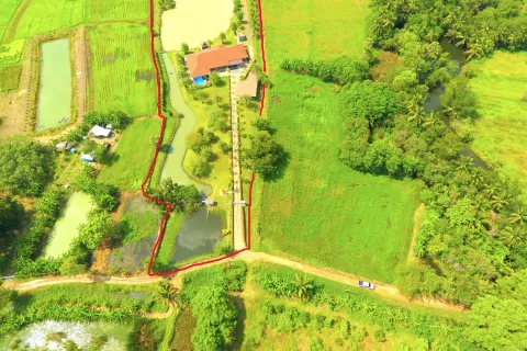 House in Nakhon Ratchasima, Thailand 4 bedrooms № 145634 - photo 7