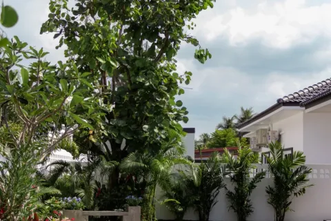 บ้านในพัทยา, ประเทศไทย 3 ห้องนอน № 210347 - รูปถ่าย 3
