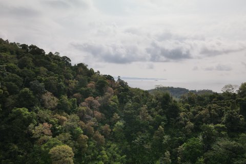 Hôtel à Phuket, Thaïlande № 161955 - photo 17