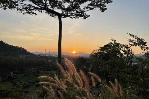 Hôtel à Phuket, Thaïlande № 161955 - photo 5