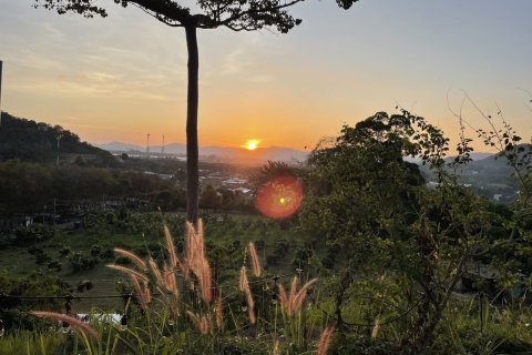 Hôtel à Phuket, Thaïlande № 161955 - photo 3