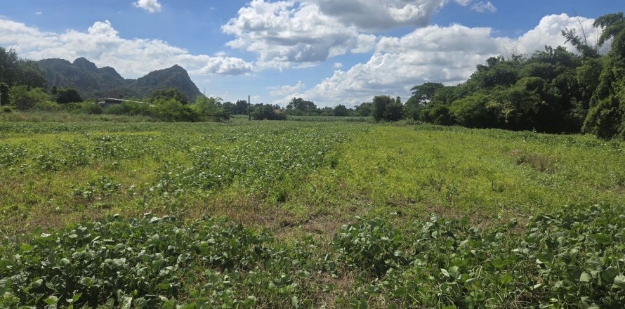 Terrain à Kaeng Khoi, Thaïlande 11200 m2 № 147669