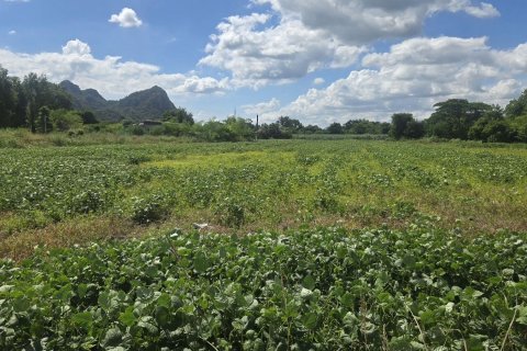 Terrain à Kaeng Khoi, Thaïlande 11200 m2 № 147669 - photo 4