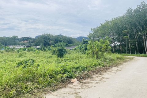 Земельный участок в Краби, Таиланд 4800м2  № 167164 - фото 2