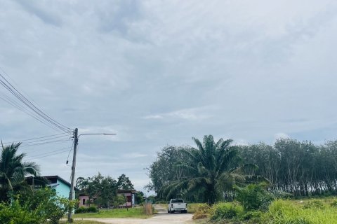 Земельный участок в Краби, Таиланд 4800м2  № 167164 - фото 5