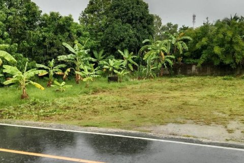 Land in Phuket, Thailand 350 sq.m. № 147634 - photo 3
