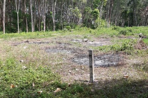 Terrain à Pa Klok, Thaïlande 2400 m2 № 156645 - photo 4