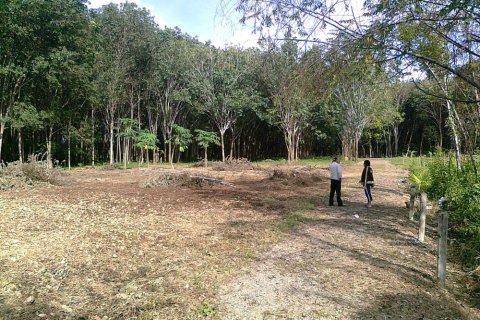 Terrain à Pa Klok, Thaïlande 2400 m2 № 156645 - photo 2