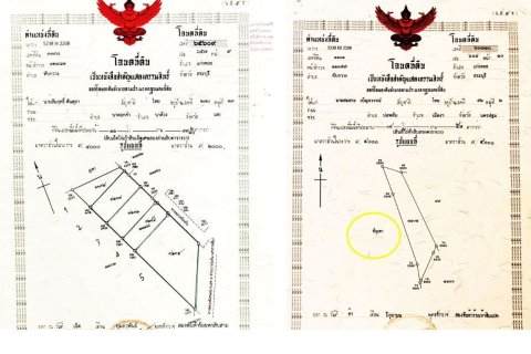 Terrain à Kaeng Khoi, Thaïlande 40000 m2 № 161674 - photo 7