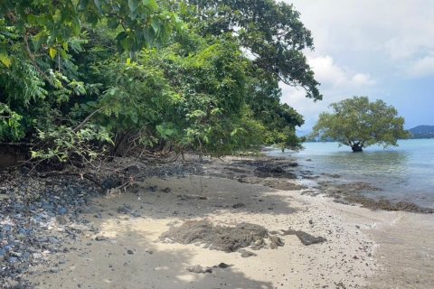 Земельный участок в Пхукете, Таиланд 56000м2 № 142791 - фото 4