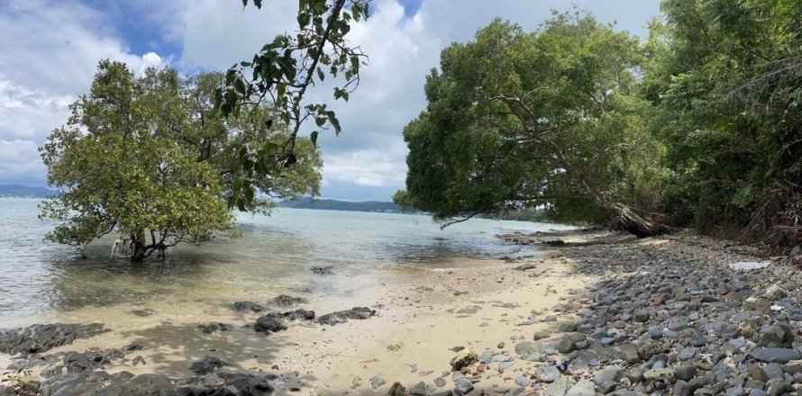 Земельный участок в Пхукете, Таиланд 56000м2 № 142791