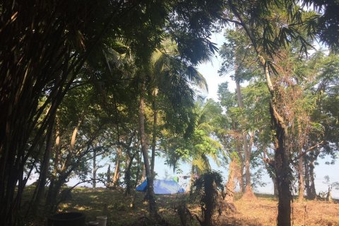 Земельный участок в Пхукете, Таиланд 56000м2 № 142791 - фото 6