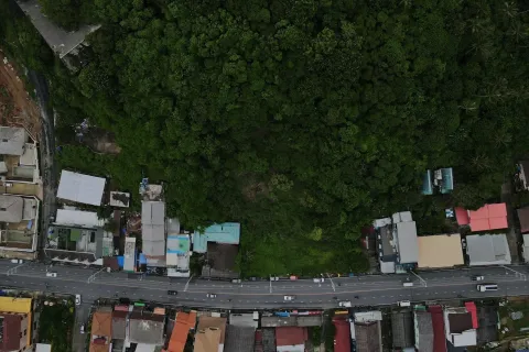 Land in Phuket, Thailand 7413 sq.m. № 154942 - photo 8