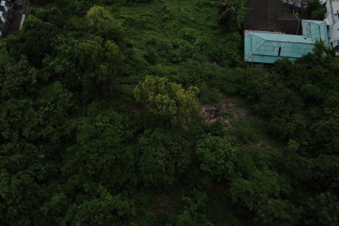 Land in Phuket, Thailand 7413 sq.m. № 154942 - photo 4