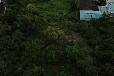 Land in Phuket, Thailand 7413 sq.m. № 154942 - photo 5