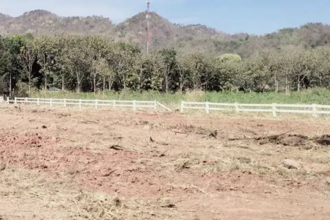 Land in Pak Chong, Thailand 3552 sq.m. № 149025 - photo 2