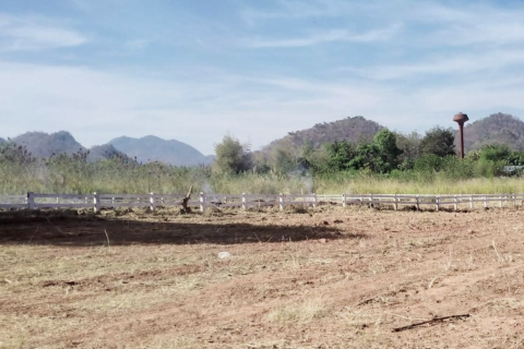 Land in Pak Chong, Thailand 3552 sq.m. № 149025 - photo 5