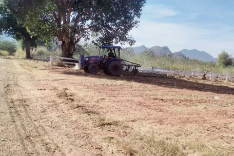 Land in Pak Chong, Thailand 3552 sq.m. № 149025 - photo 3