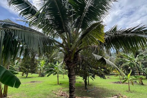 Land in Ko Samui, Thailand 1600 sq.m. № 173757 - photo 8