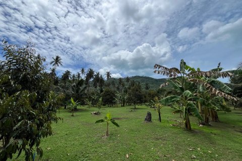 Land in Ko Samui, Thailand 1600 sq.m. № 173757 - photo 4