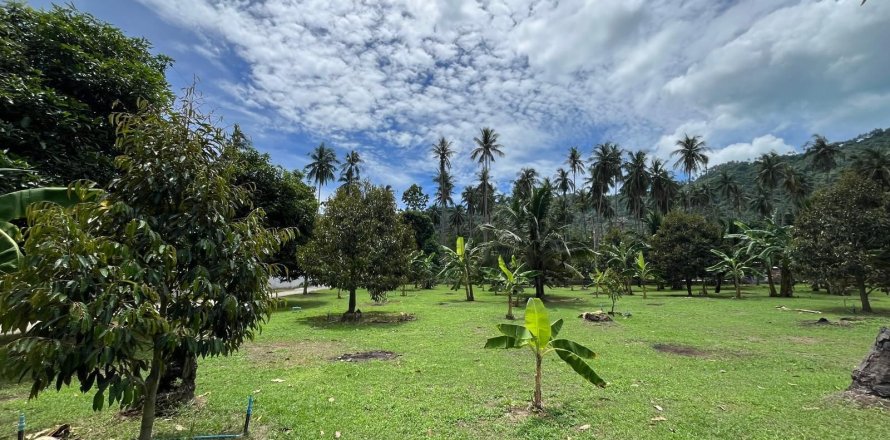 Land in Ko Samui, Thailand 1600 sq.m. № 173757