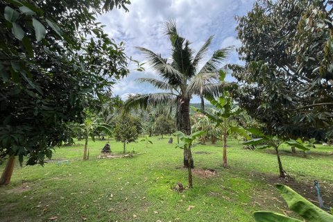 Land in Ko Samui, Thailand 1600 sq.m. № 173757 - photo 2