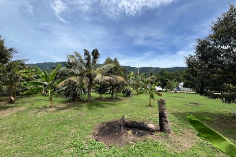 Land in Ko Samui, Thailand 1600 sq.m. № 173757 - photo 7